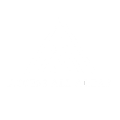 Logo Access All Areas 